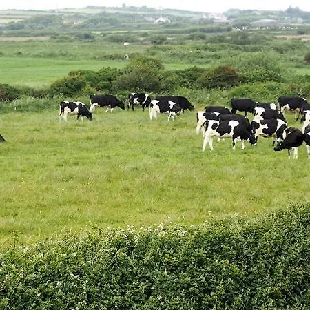 Bealaha House Nocleg ze śniadaniem 3*