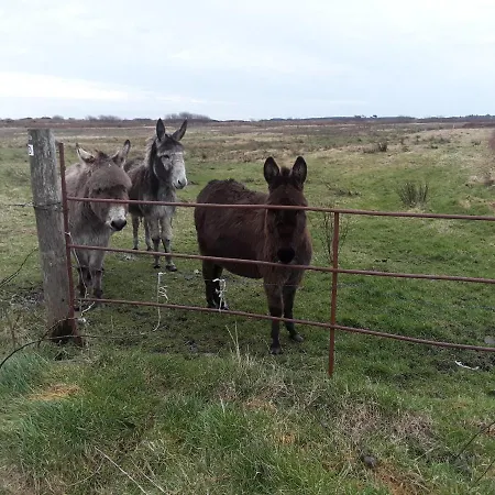 Nocleg ze śniadaniem Bealaha House