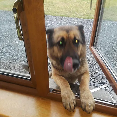 Bealaha House Nocleg ze śniadaniem