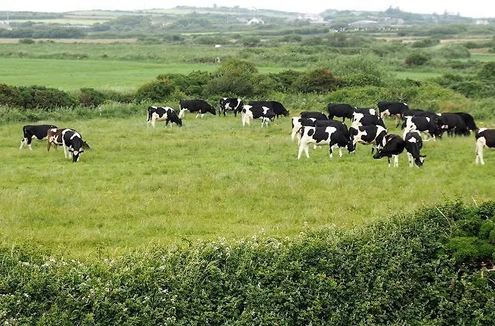 Bealaha House Bed & Breakfast 3*