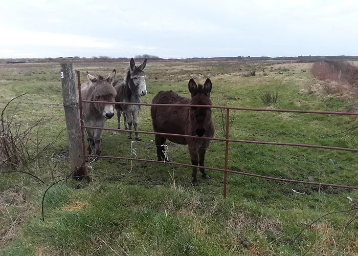 Bed & Breakfast Bealaha House