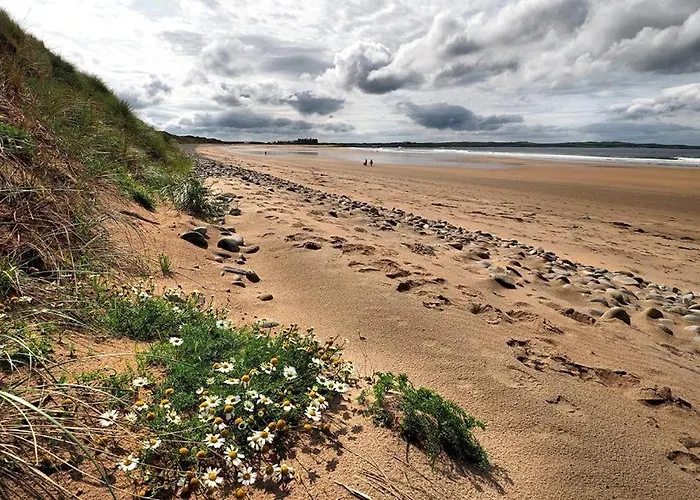 Bed & Breakfast Bealaha House