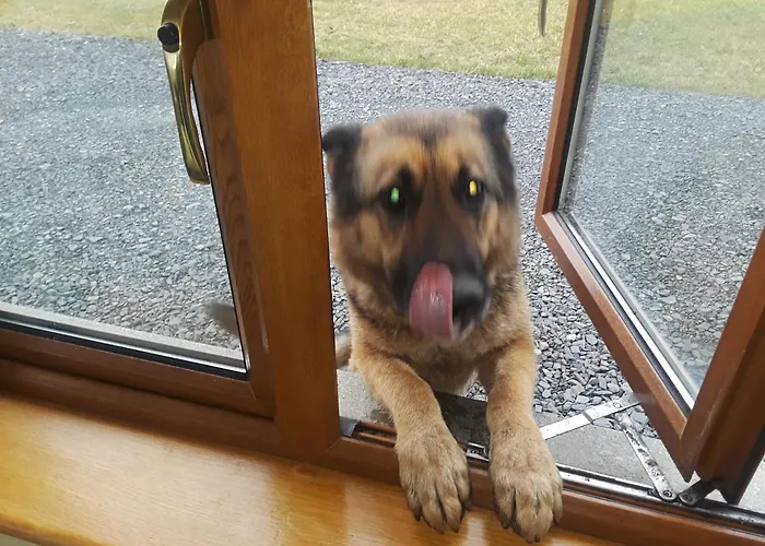 Bealaha House Bed & Breakfast